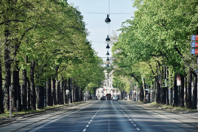 a wide tree lined street that runs in front of the street