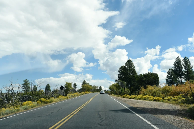 a very long stretch of road near some pretty yellow flowers