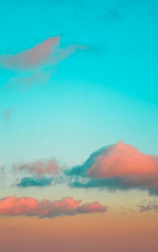 a bird standing on a tree in front of a pink cloud