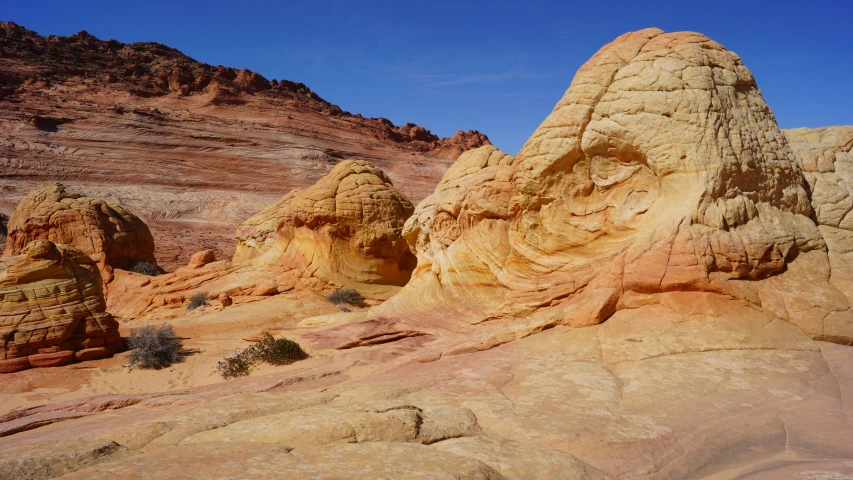 there are rocks carved in the desert and one is rock art