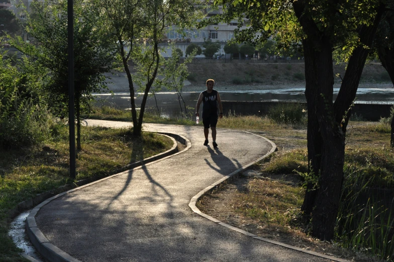 a person on a pathway through trees and grass