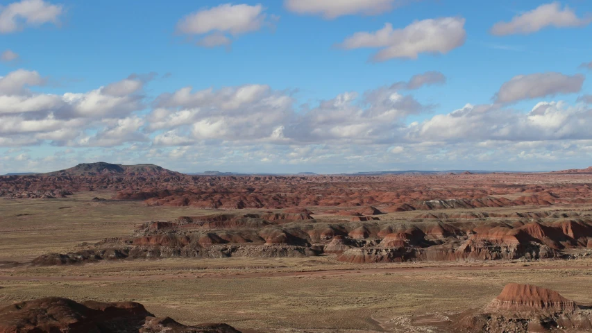 the desert is filled with arid terrain with some animals