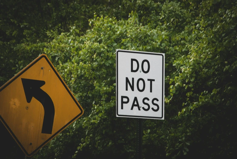 a do not pass sign is in front of a tree