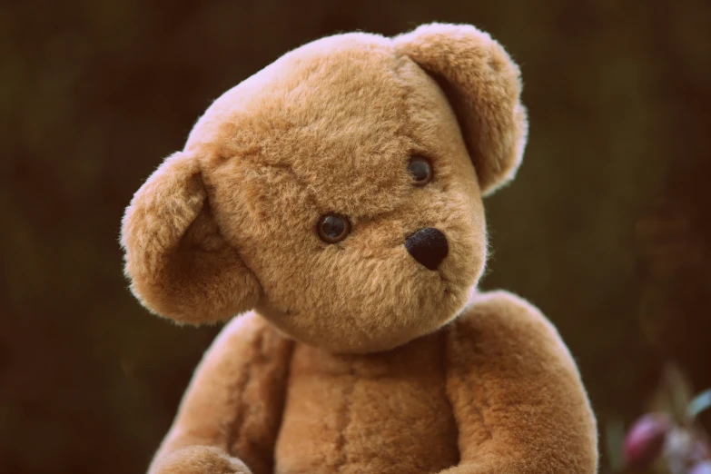 a tan teddy bear is sitting alone