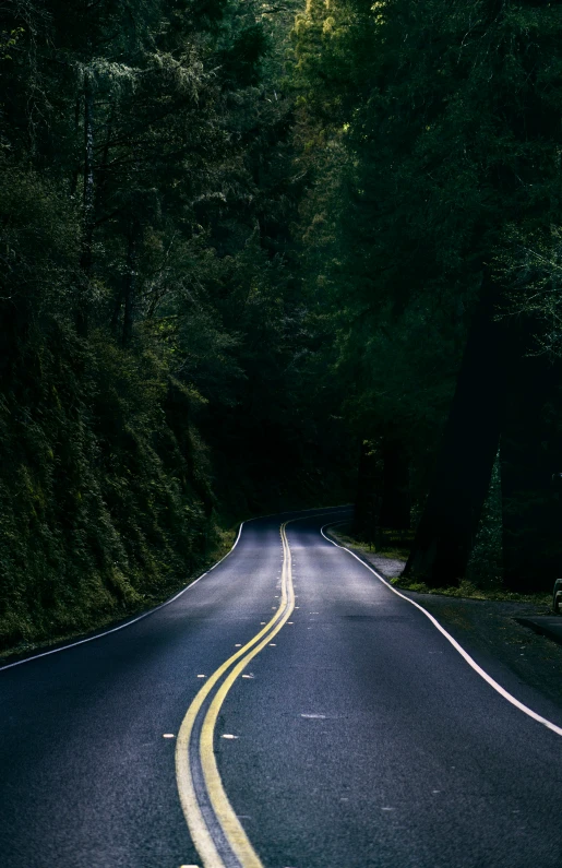 an image of an empty road in the woods