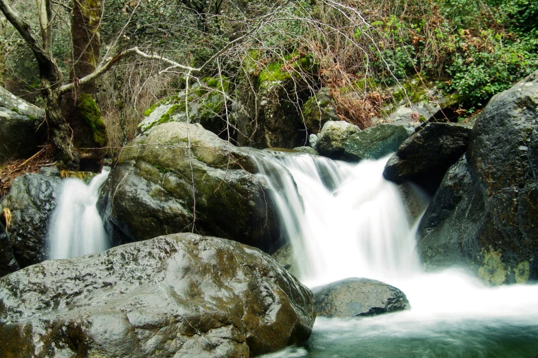 several rocks and plants are seen surrounding a river