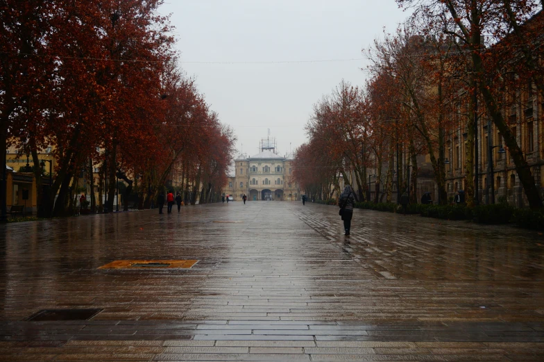 people walking through the rain covered walkway with umbrellas