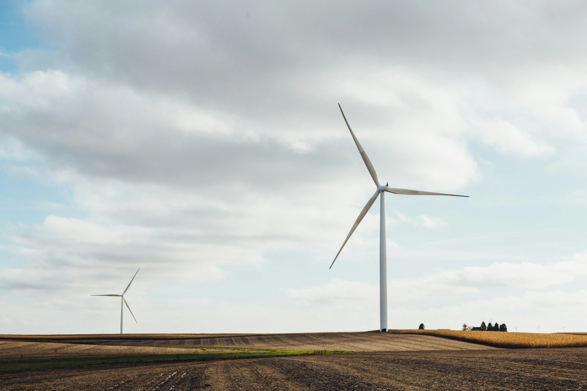 a field that has some wind turbines in it