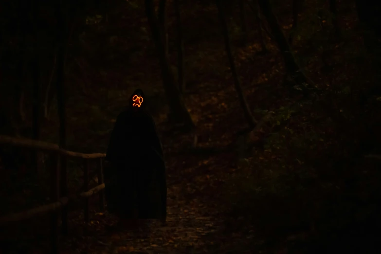 an eerie figure standing on a path at night