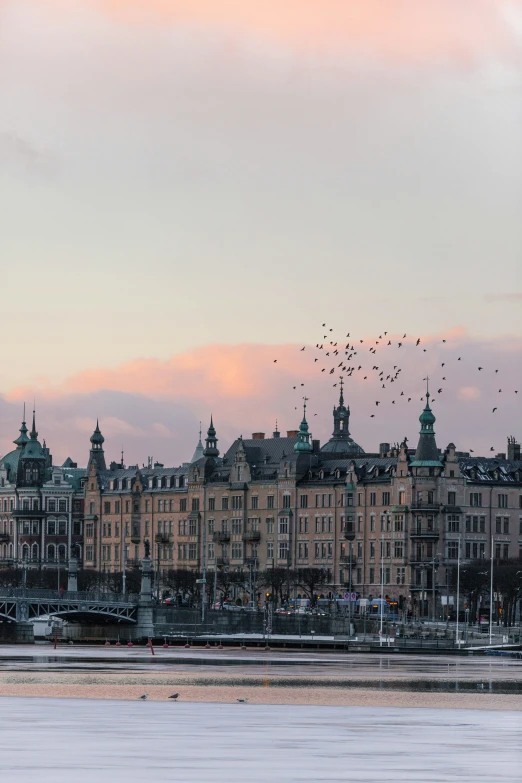 birds fly above a large building in a body of water