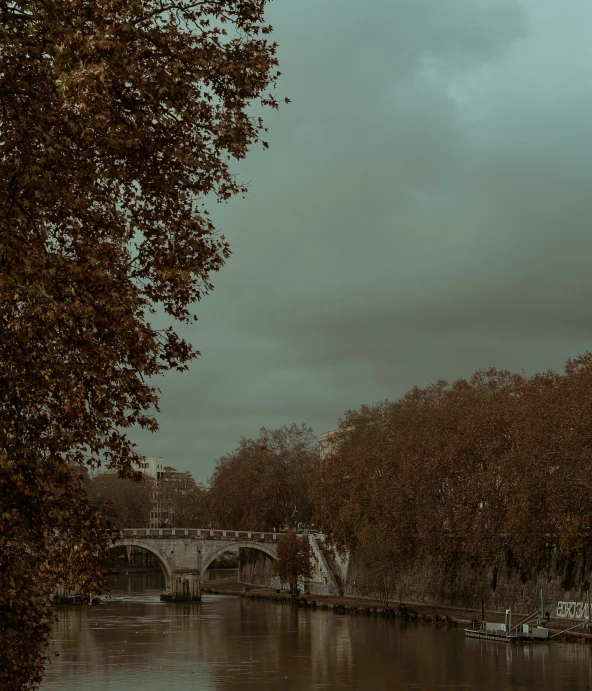 a tree and bridge across the water under a cloudy sky