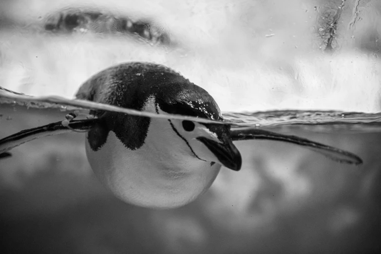 an egg on the bottom of a body of water