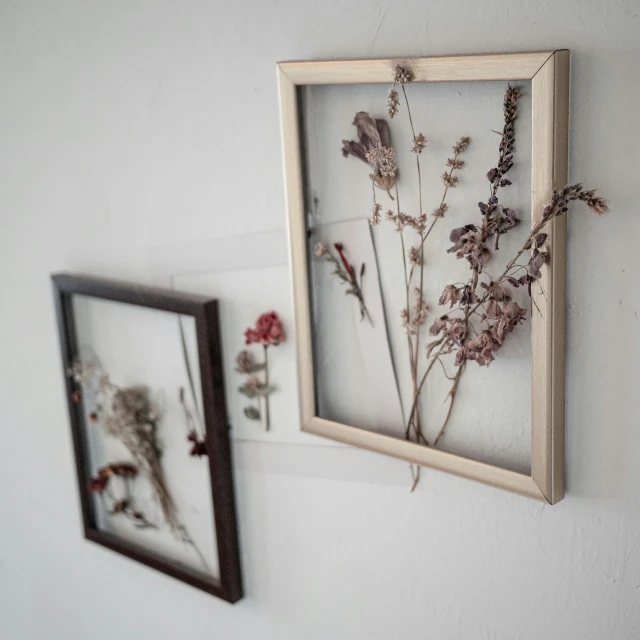 a set of two framed pictures sitting on the wall