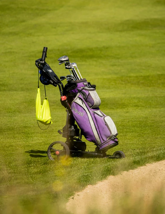 a purple golf cart sitting on a lush green golf field