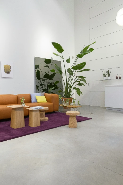 a room with purple rug and orange couch