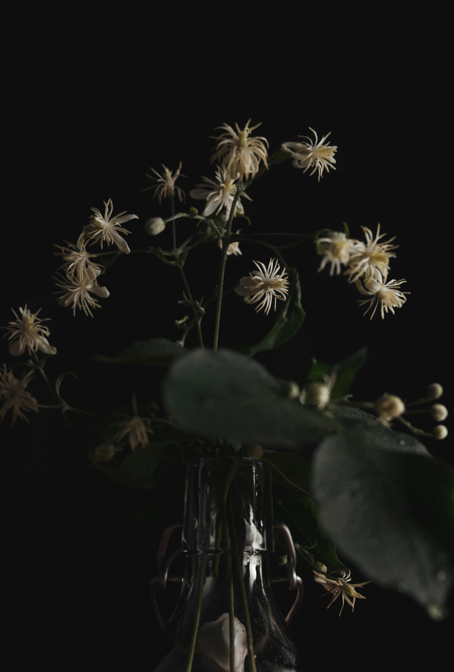 a close up s of some flowers in a vase