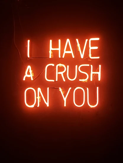 i have a crush on you neon sign in the dark