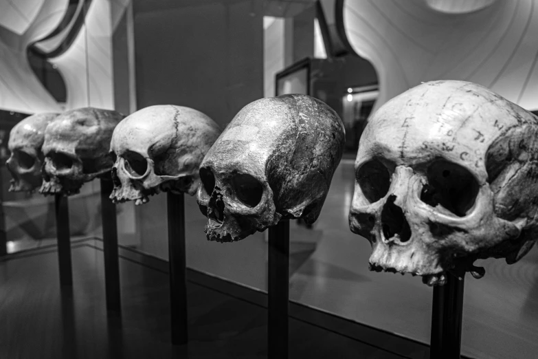 a black and white po of several skulls that are on poles