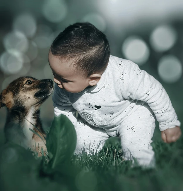 an image of a baby being kissed by a dog