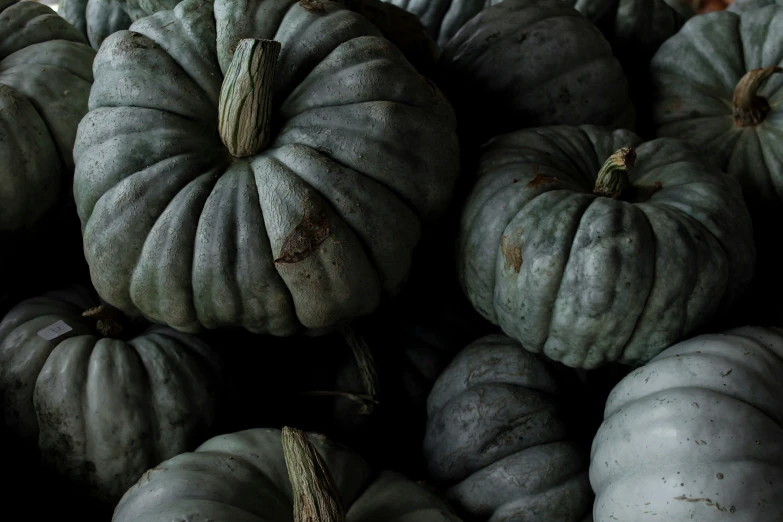 many small blue pumpkins are in a pile
