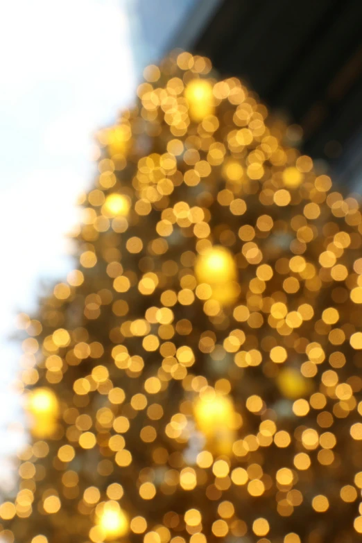 a christmas tree with hundreds of lights in front of it