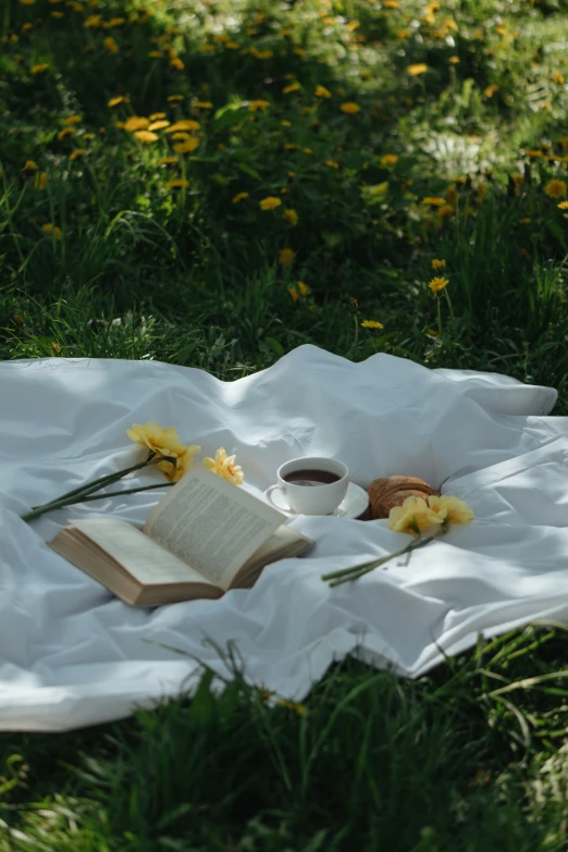 a cup of coffee and two flowers are on the blanket and a book is beside them