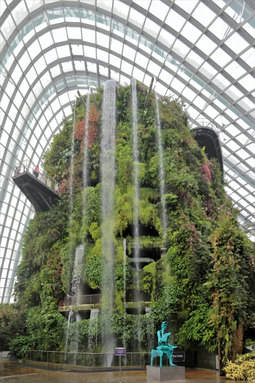 the ceiling of the building is made up of plants