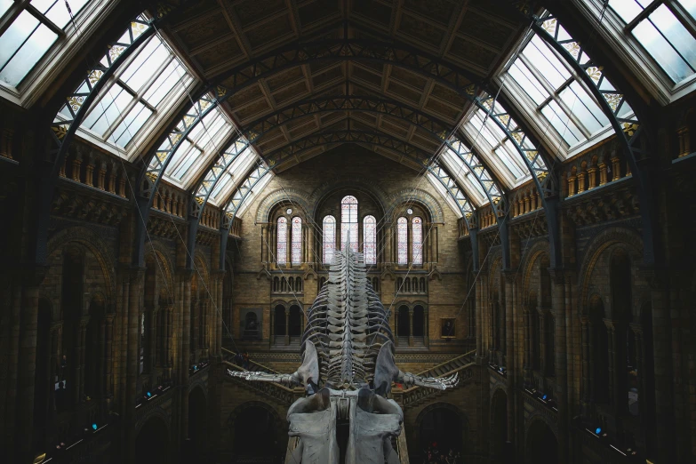 a very large hall with an animal skeleton