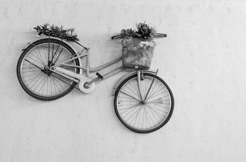the bicycle has some plants in it on the back