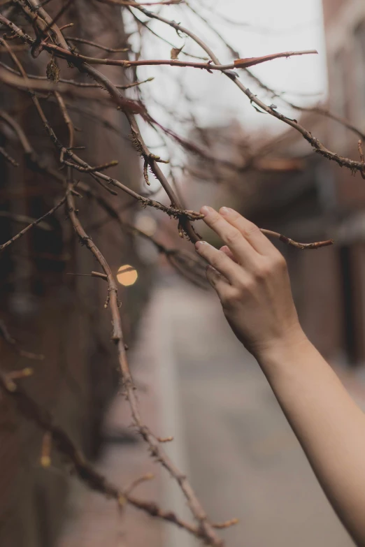 a hand reaching up for a nch in front of a building