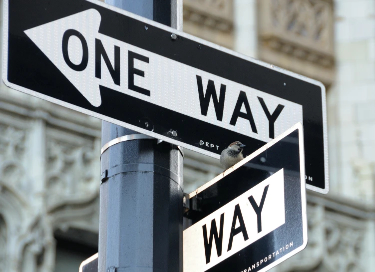 one way and arrow street sign with a large building in the background