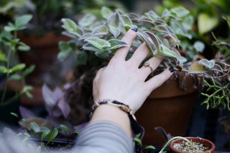 there is a hand reaching to reach a flower pot