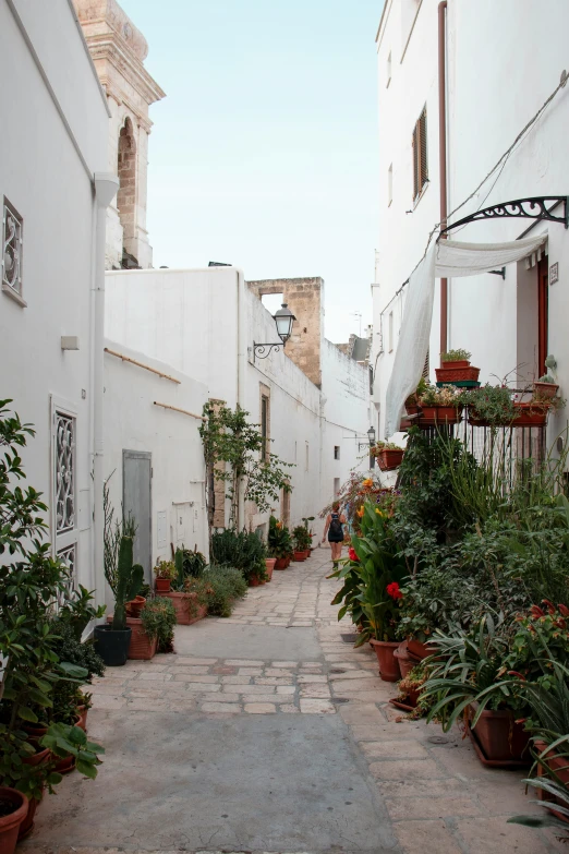 a cobblestone walkway between white buildings and potted plants