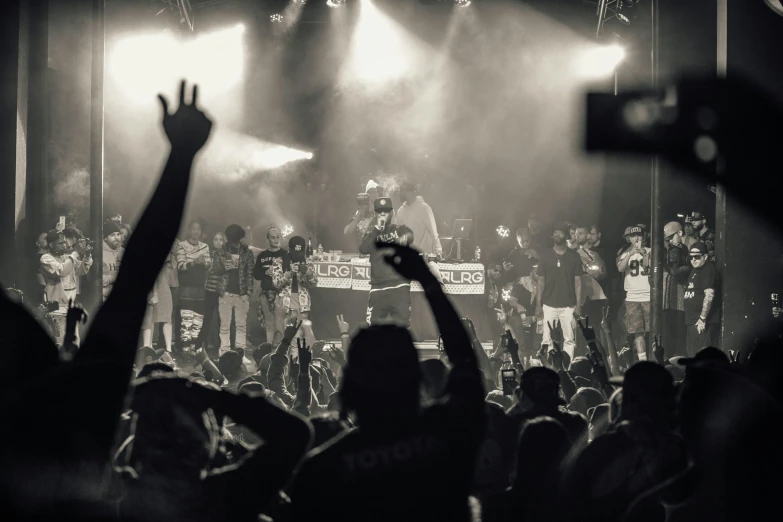 people in the crowd at a concert and one of them raising their hands