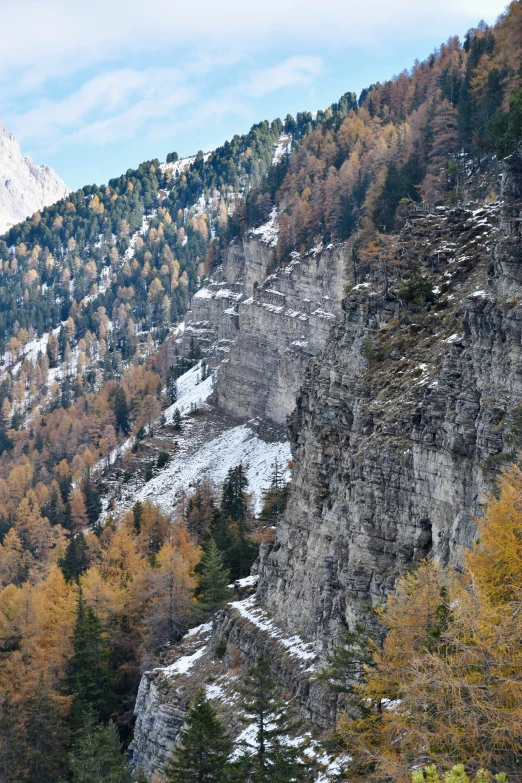 a snow covered mountain and pine forest below it