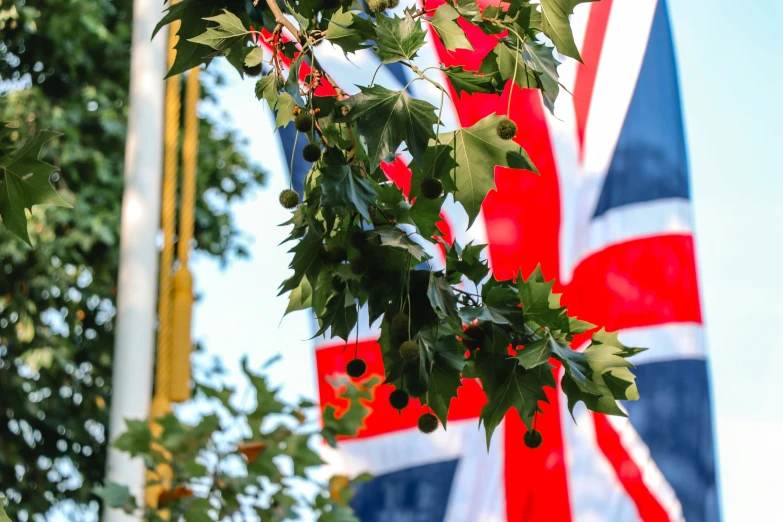 a big flag and a tree with leaves