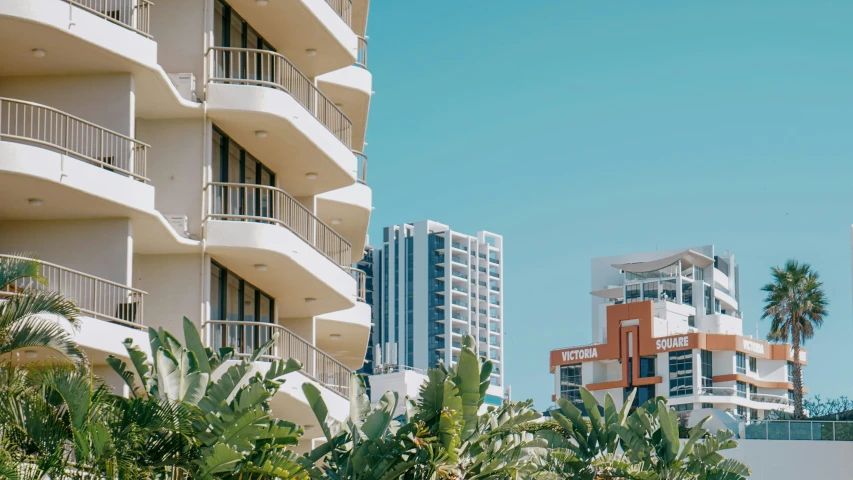 large buildings and palm trees with blue skies in the background