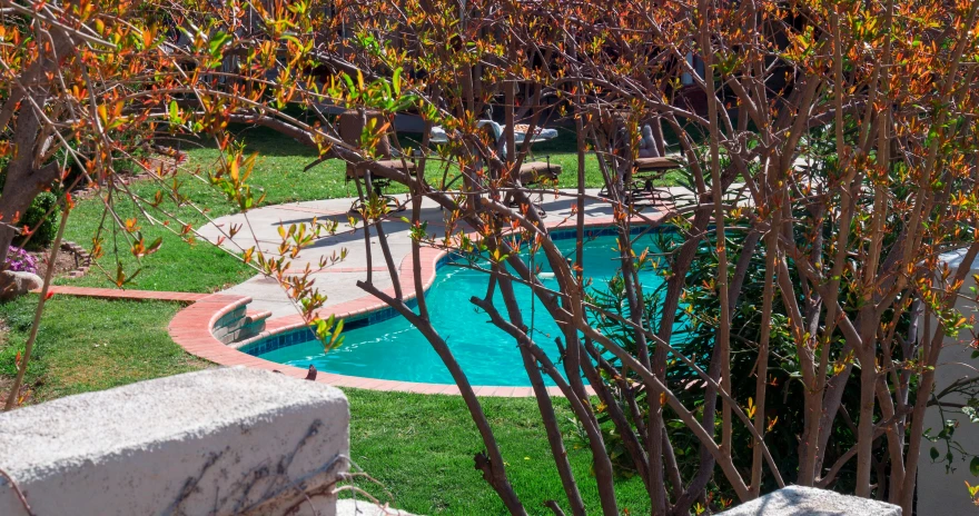 an overhead view of a pool, and landscaping with lots of trees