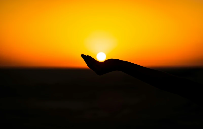 hand holding soing during the sunset in a field