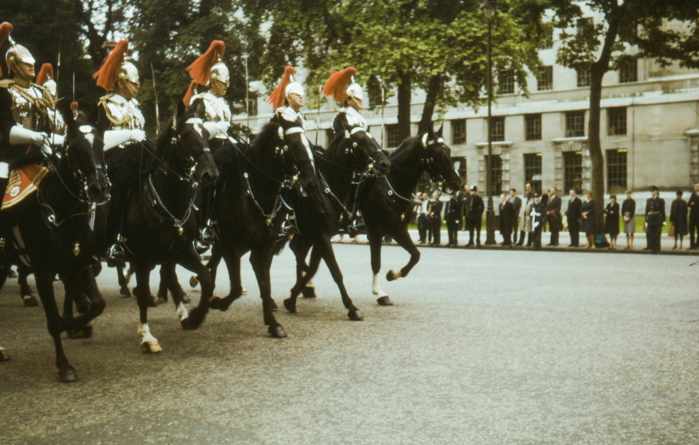 the mounted officers are all in formation on the horses