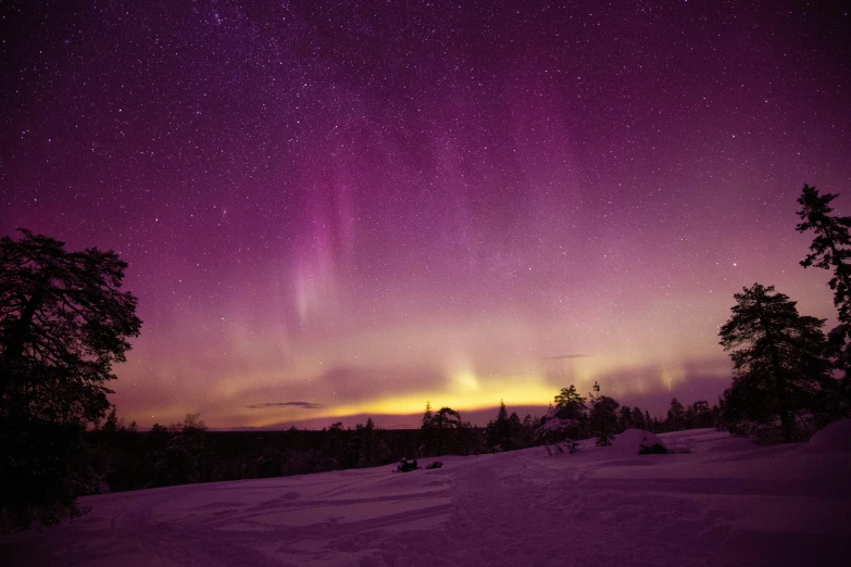 bright, colorful stars in the night sky above snow