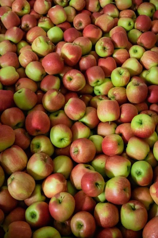 a large pile of apples are piled together