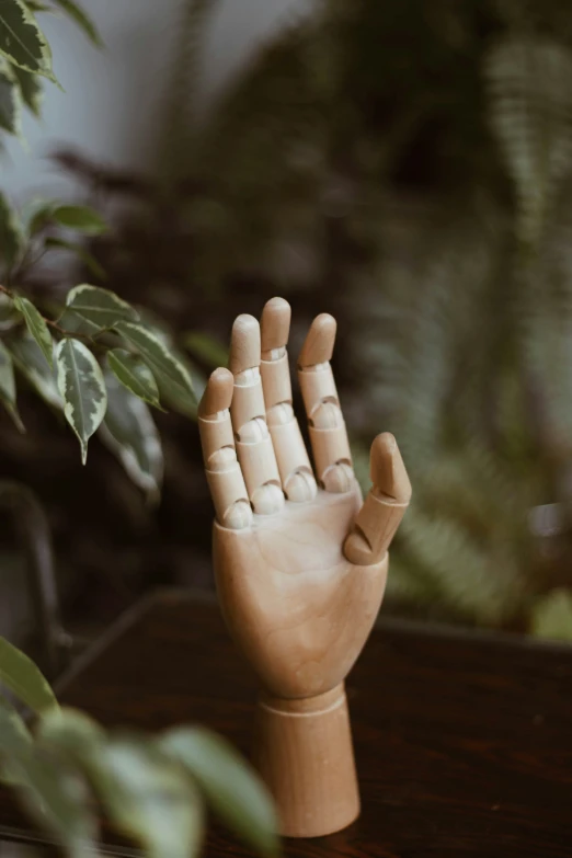 a carved wooden figure hand is in the middle of some plants