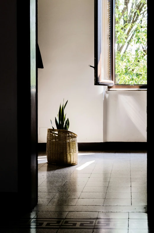 sunlight coming through an open door into a white room with a window