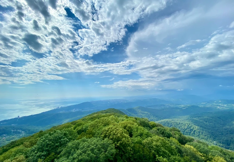 clouds cover the sky and light green foliage