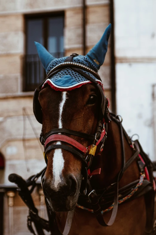 a horse with a blue horned face has soing on his head