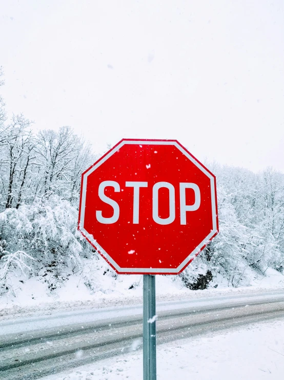 a stop sign on the side of a snowy road