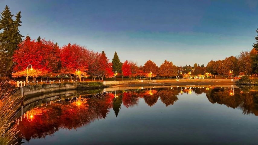 a body of water that has some trees in it