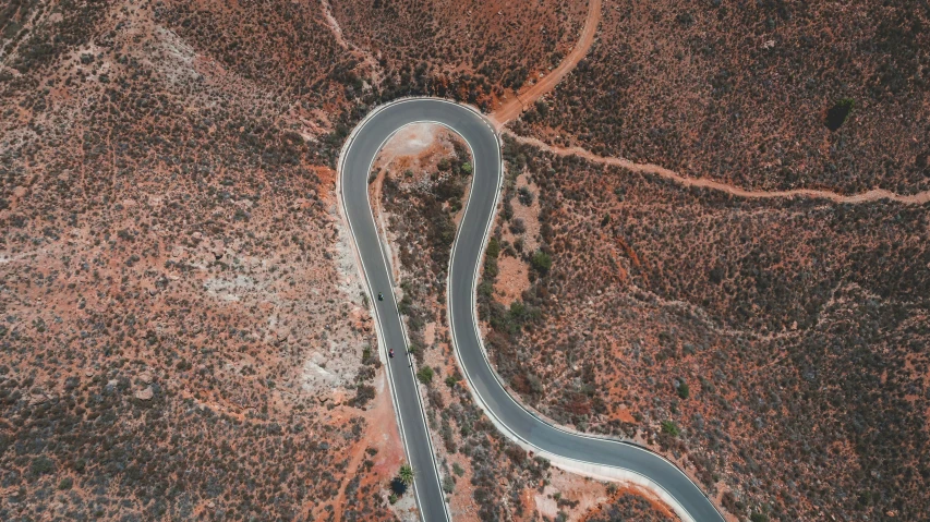 a road surrounded by dry brush and lots of trees