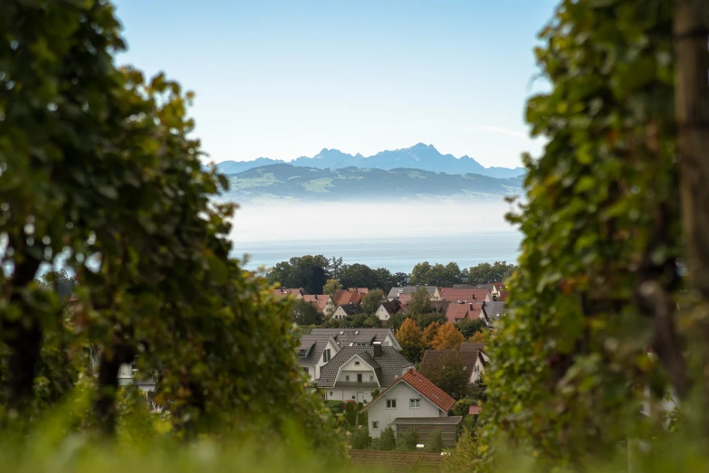 a view of a neighborhood in the mountains from a distance